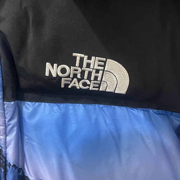 The North Face Black and Blue Puffer Jacket - Picture 3 of 15